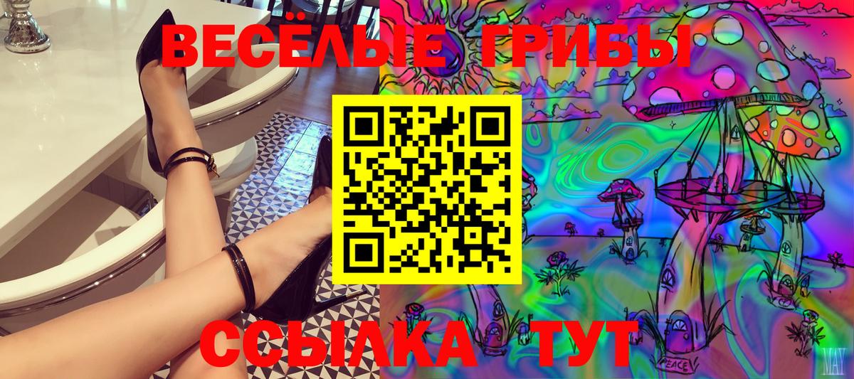 Галлюциногенные грибы Cubensis Качканар