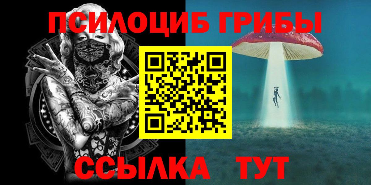 Псилоцибиновые грибы MAGIC MUSHROOMS  где найти   Качканар  Вход с VPN  Галлюциногенные грибы прущие грибы 